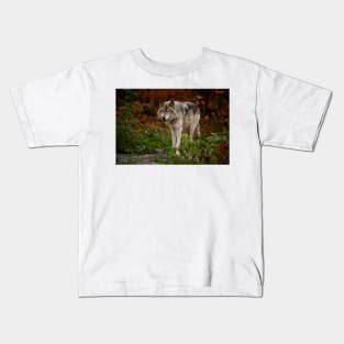 Gray Wolf Kids T-Shirt